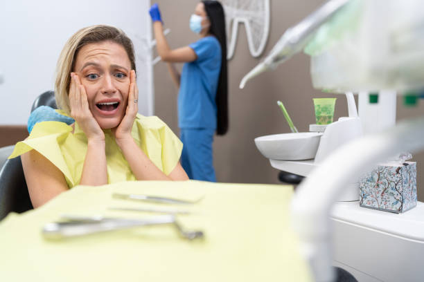 Best Chipped Tooth Repair Near Me  in Cheval, FL